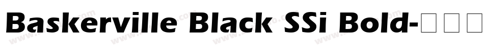 Baskerville Black SSi Bold字体转换
